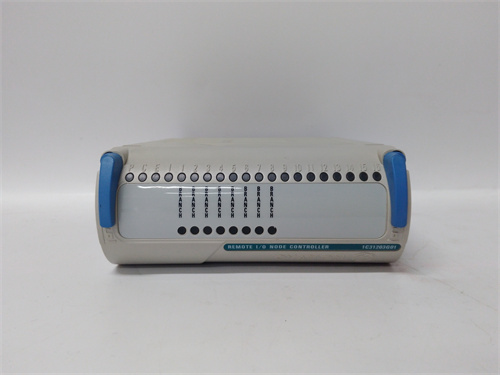 1C31203G01+ EMERSON