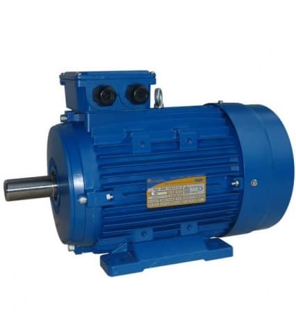 Электродвигатель 5АИ (АИР) 100 L2 ЖУ2 5,5/3000 IM1001/1081 5,5кВт 380В УХЛ1