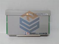 1C31219G01 EMERSON