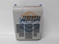 1C31166G01 EMERSON
