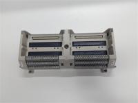 1B30035H01+ EMERSON