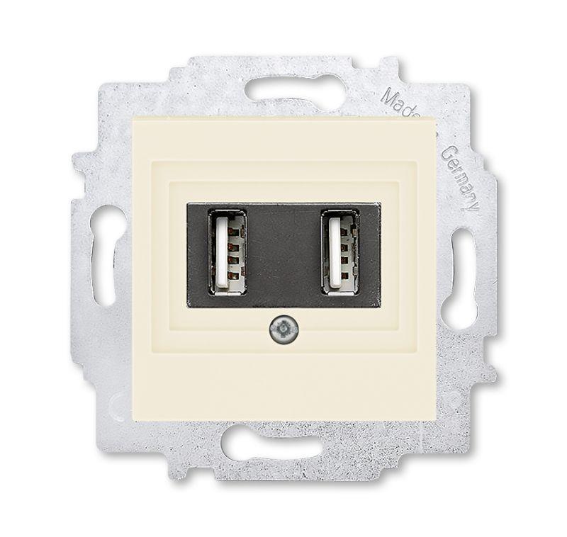 Устройство зарядное USB двойн. Levit сл. кость ABB 2CHH290040A6017