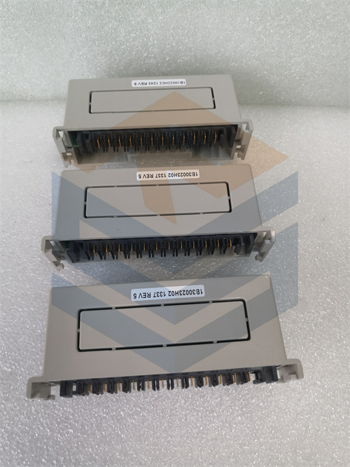 EMERSON 1B30023H02