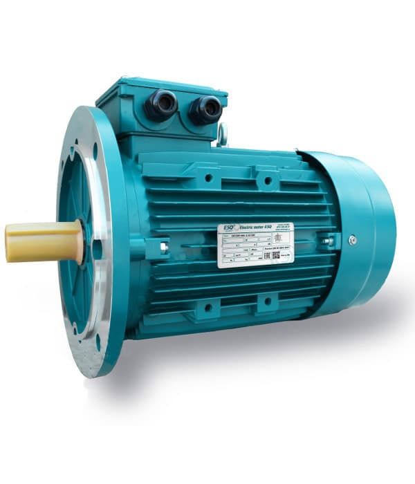 Электродвигатель 315S10-SDN-MC2-45/600 B5 45кВт 380/660В DIN У2